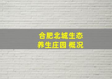 合肥北城生态养生庄园 概况